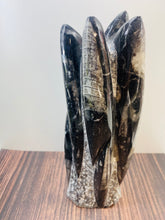 Load image into Gallery viewer, Freestanding Fossil Orthoceras statute