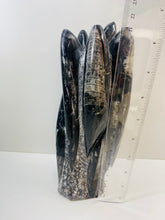 Load image into Gallery viewer, Freestanding Fossil Orthoceras statute