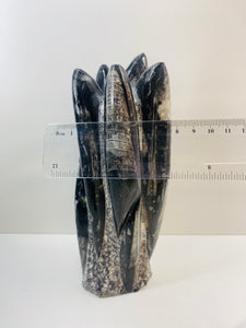 Freestanding Fossil Orthoceras statute