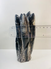 Load image into Gallery viewer, Freestanding Fossil Orthoceras statute