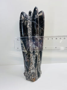 Freestanding Fossil Orthoceras statute