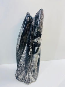 Freestanding Fossil Orthoceras statute