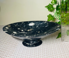 Load image into Gallery viewer, Large Fossil Orthoceras bowl - home decor