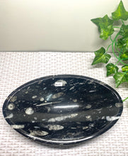 Load image into Gallery viewer, Large Fossil Orthoceras bowl - home decor
