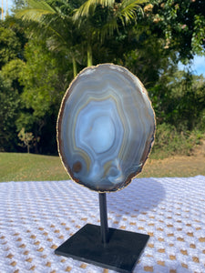 Natural polished Agate slice on black stand with gold electroplating around the edges
