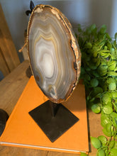 Load image into Gallery viewer, Natural polished Agate slice on black stand with gold electroplating around the edges 09