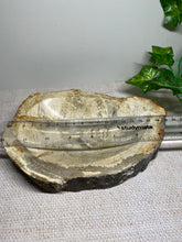 Load image into Gallery viewer, Petrified wood bowl - home decor