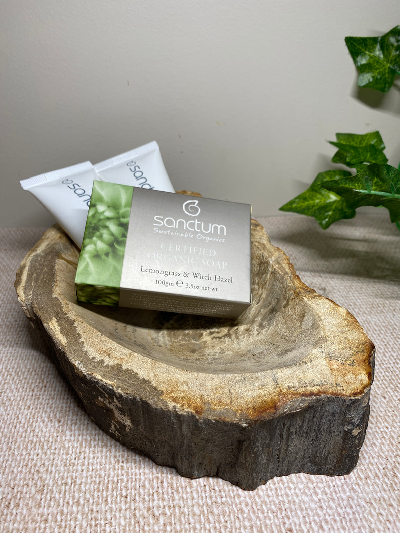 Petrified wood bowl - home decor