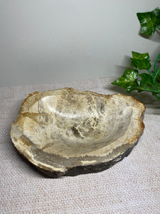 Petrified wood bowl - home decor