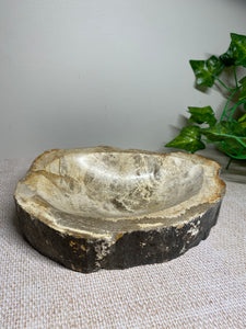 Petrified wood bowl - home decor