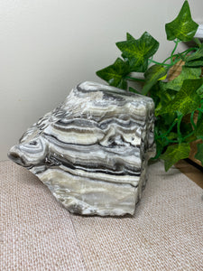 Zebra Calcite display piece - home décor or office display