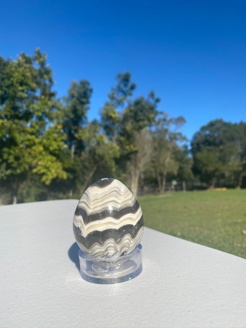 Zebra Calcite egg - office decor or unique home display piece